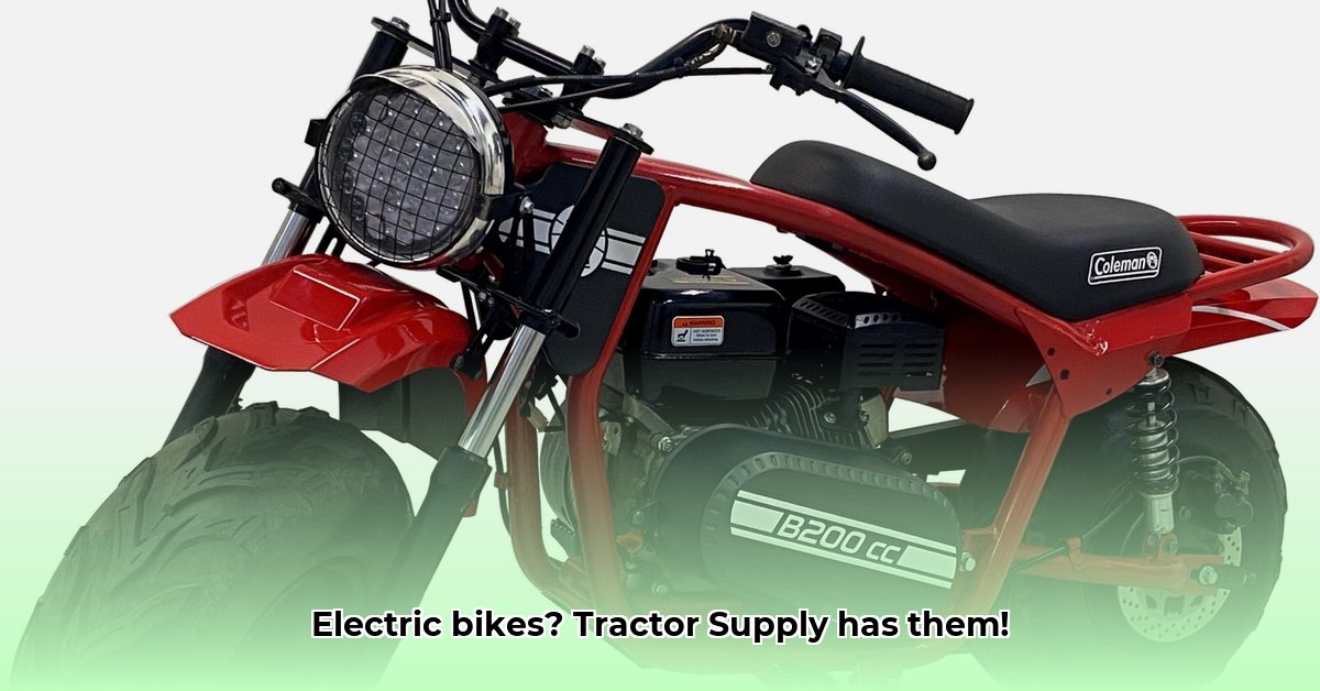 electric-bike-tractor-supply